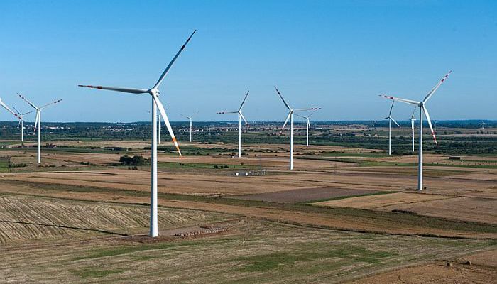 polenergia, wyniki, energetyka, akcje,