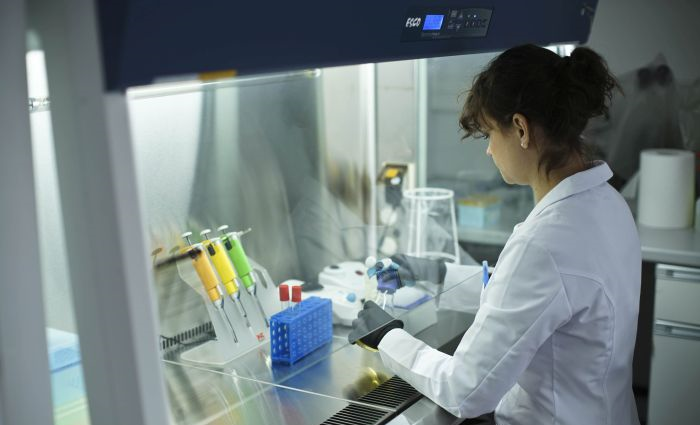 Scope,Fluidics,udziały, Curiosity, diagnostics, bacteromic, biotechnologia,
