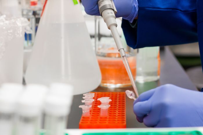 asbis, biotech, akcje,