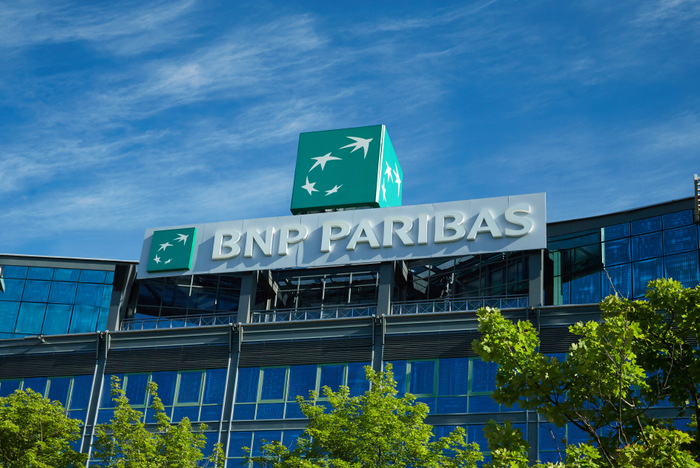 BNPParibas,bank, akcje, strategia,