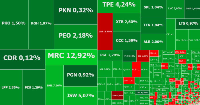 jsw, mercator, livechat, biomedlub, komentarz, akcje, indeksy,