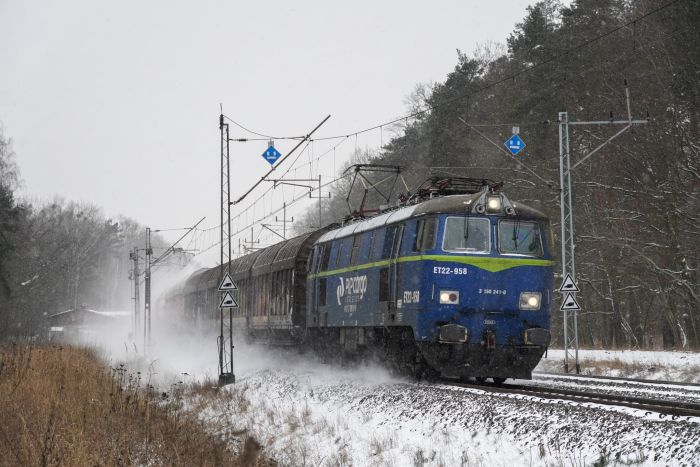 pkpcargo, akcje, transport,