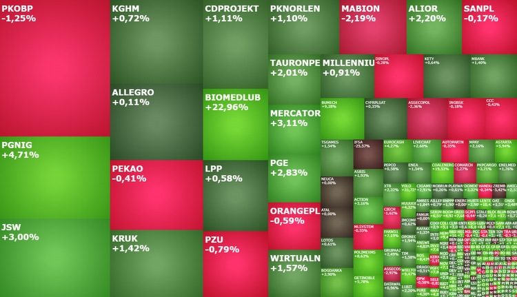 biomed,lublin,yolo,getin,noble,asseco,pgnig,sesja,spekulanci