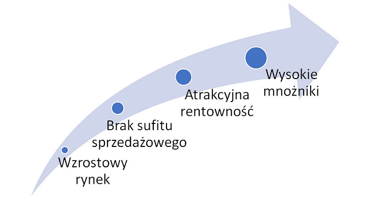 saas, model,biznesowy,giełda,cechy