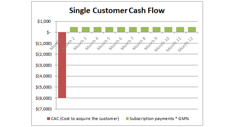 costumer,cash,flow,saas,dawid,skok