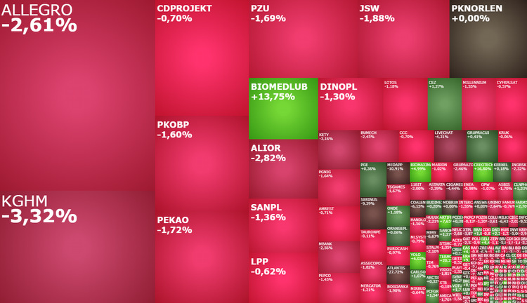 kghm,allegro,biomed,lublin,akcje,przecena,spadki,