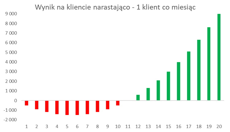 saas,model,biznesowy