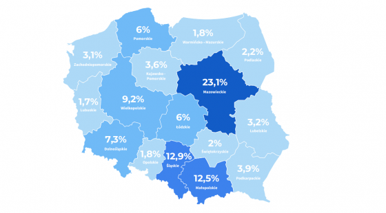 ecommerce, mapa, polska