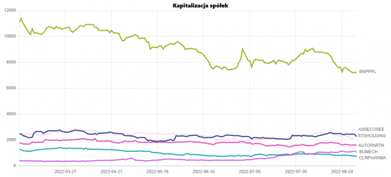 kapitalizacja, społek, rewizja, indeksów