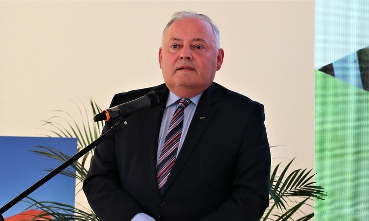 pge, dywidenda, polityka