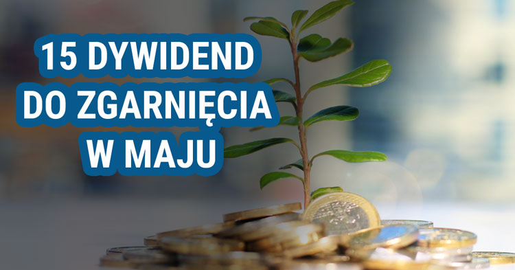 dywidendy, maj, 2024, spolki, akcje, inwestowanie