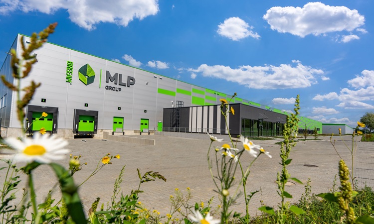 MLPGroup, analiza, sytuacji, fundamentalnej, 2024