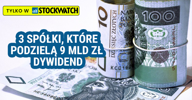 dywidendy, lpp, pzu, orlen, akcje, terminy, 2024