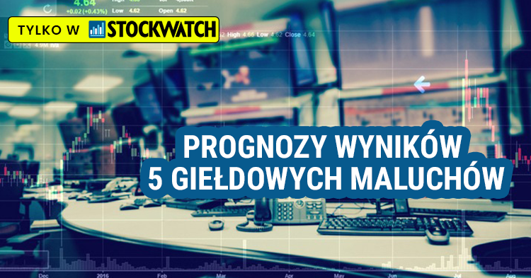 prognozy, wyniki, kwartał, 2024, seko, toya, sonel, bioton, photon