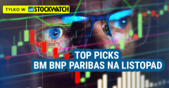 10 spółek w portfelu BM BNP Paribas na listopad