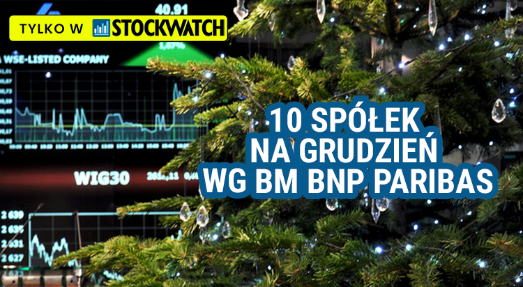 ciekawych, spolek, grudzien, bnpparibas, 2024, torpol, domdev, xtb