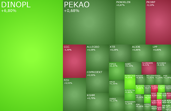 dinopl, eurocash, Synektik, zielona, sesja, gpw