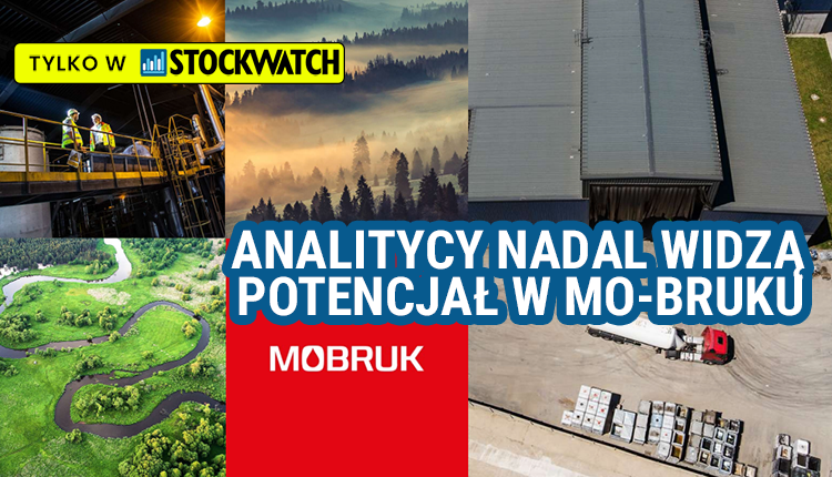 Słaby, początek, roku, ryzyka, prawne, Analitycy, widzą, potencjał, MoBruku