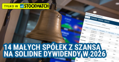 14 małych spółek z perspektywą na solidne dywidendy w 2026 r.