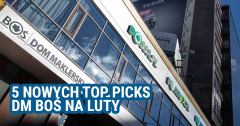 5 nowych top picks DM BOŚ na luty