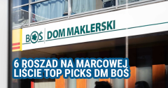 6 roszad na marcowej liście top picks DM BOŚ