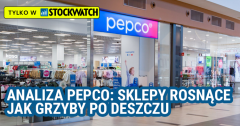Analiza Pepco: Sklepy rosnące jak grzyby po deszczu