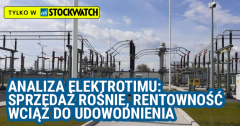 Analiza Elektrotimu: Sprzedaż rośnie, rentowność wciąż do udowodnienia